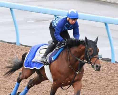 【天皇賞】ホウオウビスケッツ 動きに及第点 奥村武師「完成の域に入ってきています」 昨年3着の雪辱果たす