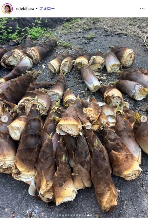 蛯原英里Instagramより