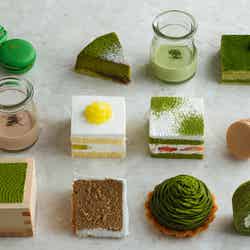 抹茶・メロン・チョコがテーマ!“新緑ビュッフェ”がニューオータニ幕張で開催/画像提供:ニュー・オータニ