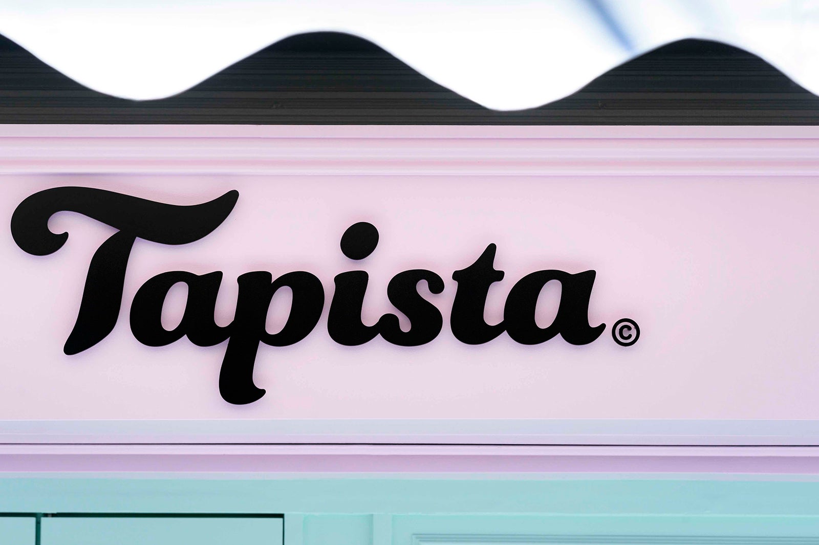 Tapista／画像提供：Tapista