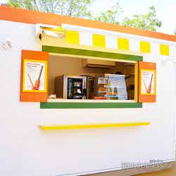 ミッフィー・ワンダースクエア(C)モデルプレス