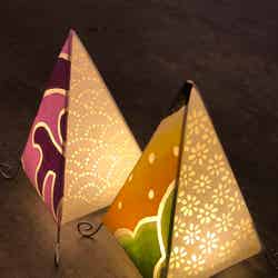 花と光のムーブメント 小金井公園ナイトパーク ワンダー/提供素材