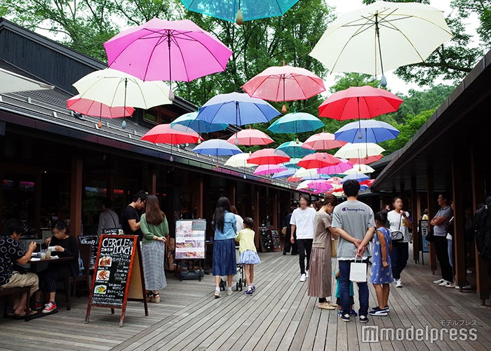 ハルニレテラス（C）モデルプレス