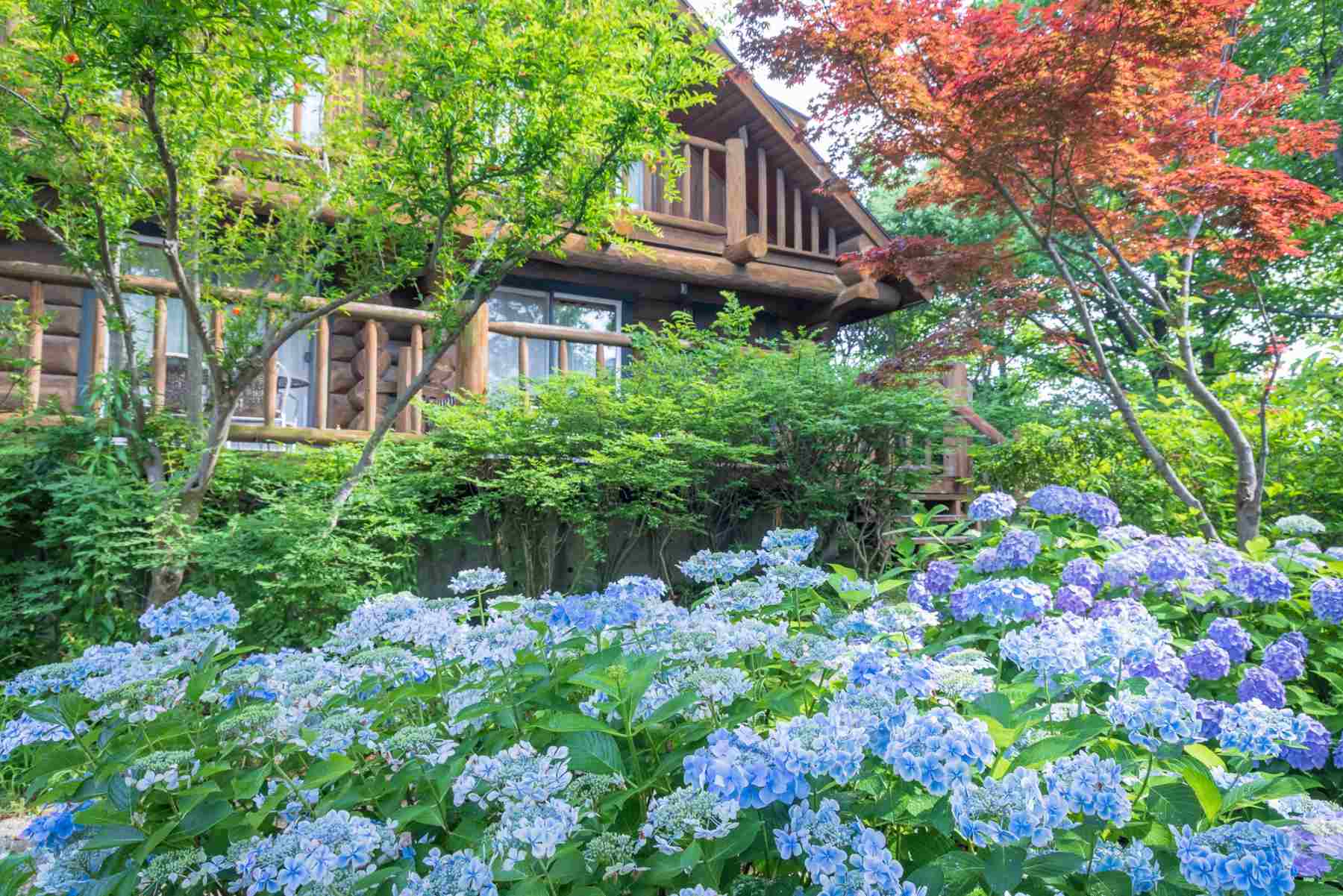 【大阪・舞洲】約100種のあじさいと出会う、初夏のガーデンへおでかけ！
