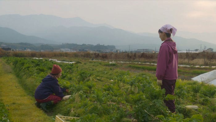 宮崎美子、麻生久美子「おむすび」第119話(C)NHK