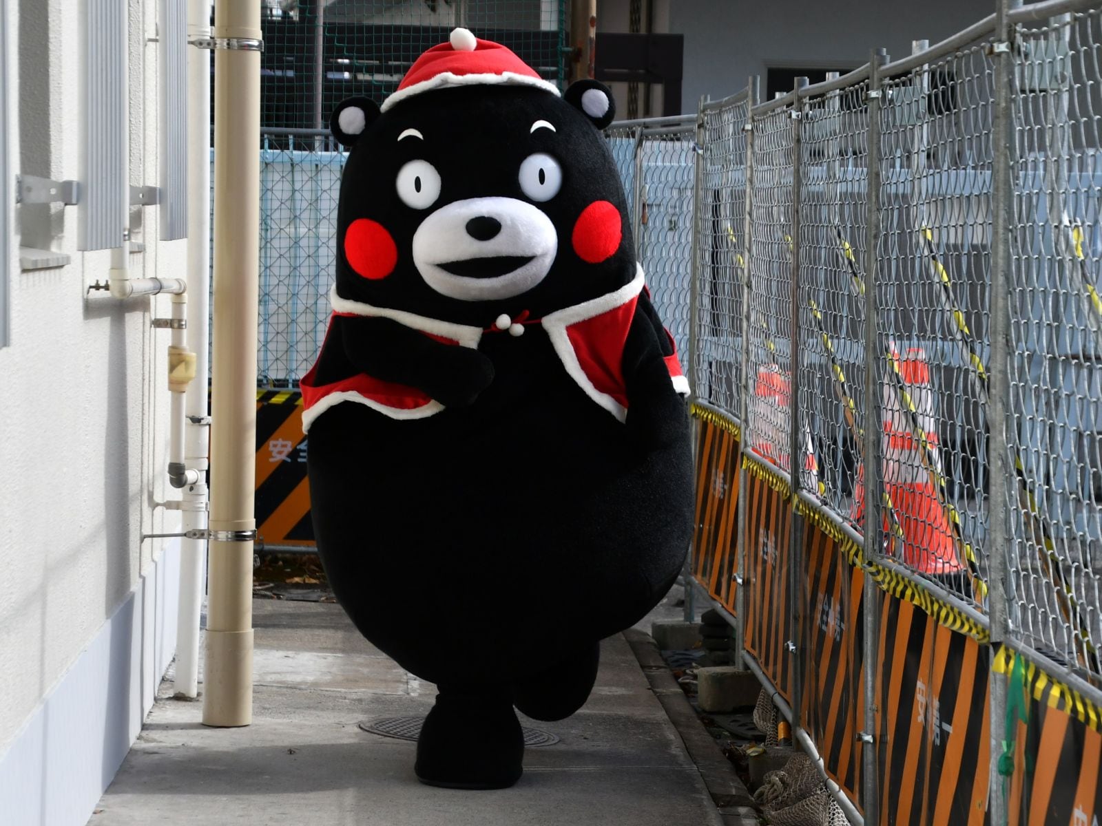 みんな待っててね＝12月16日、東京都文京区