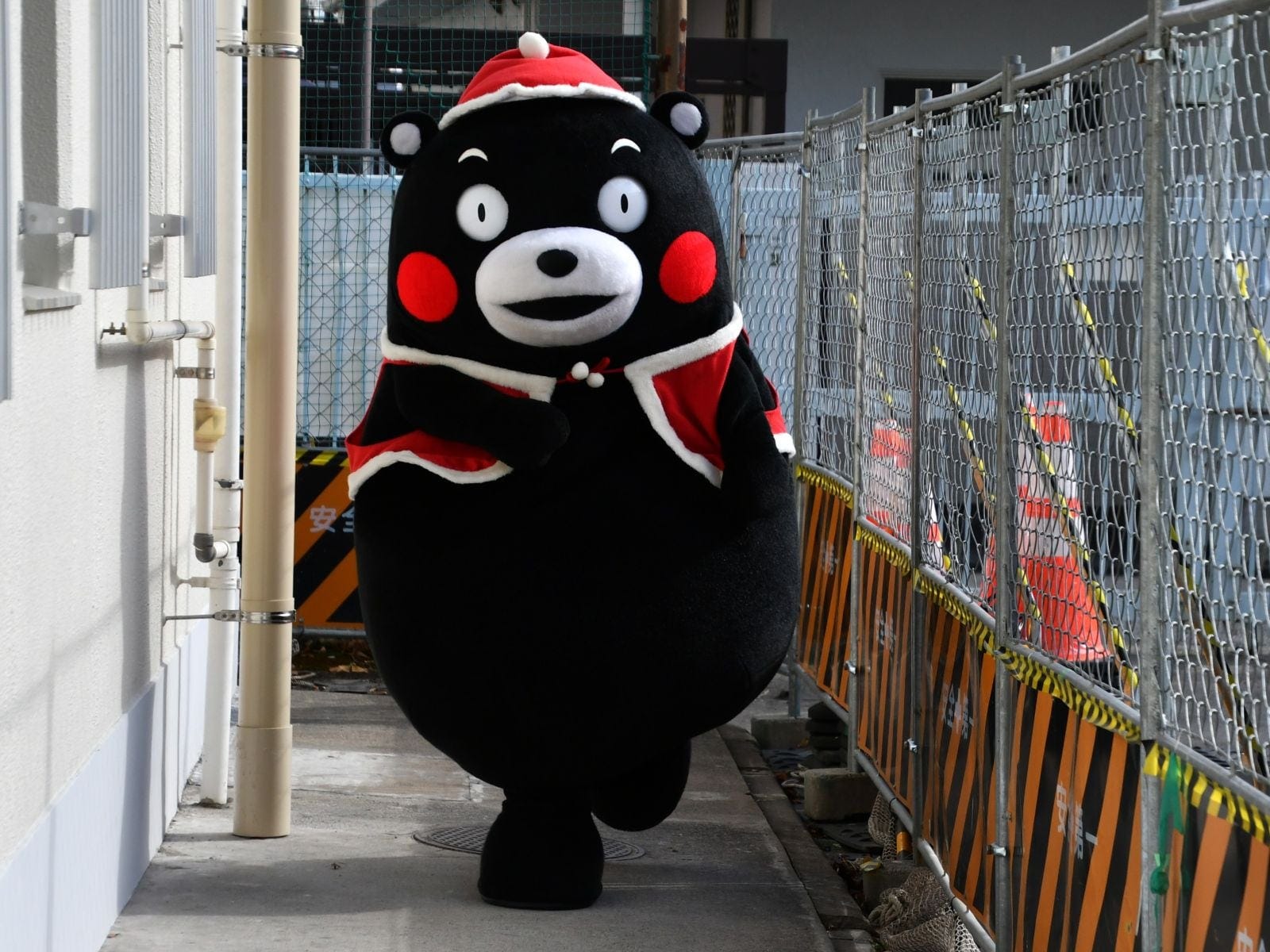 みんな待っててね＝12月16日、東京都文京区