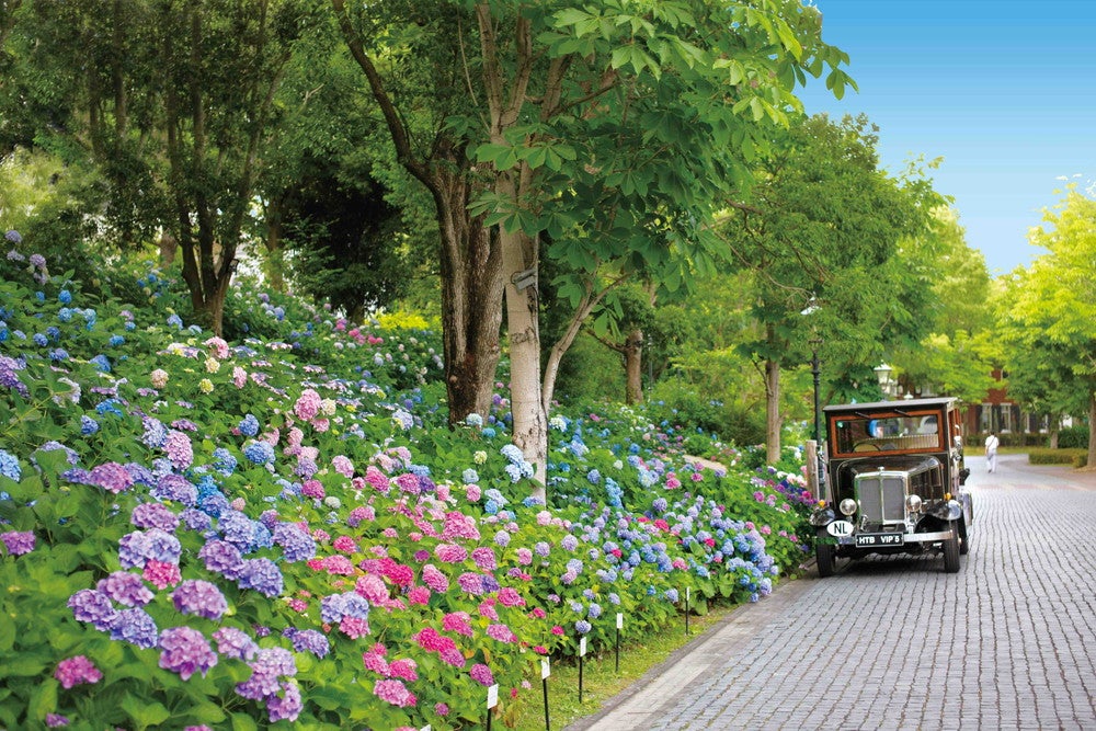 あじさい祭／画像提供：ハウステンボス