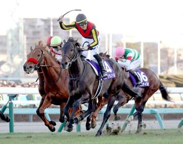 有馬記念覇者ミュージアムマイルが香港のクイーンエリザベス2世Cを回避 主催者から歩様検査をパスしないだろうと指摘