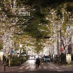 「丸の内イルミネーション2019」冬の街にシャンパンゴールドイルミ100万球輝く