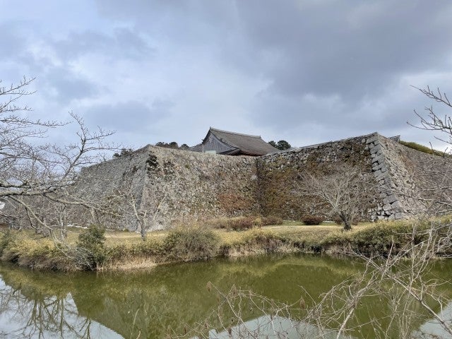 幻想的な桜景色にうっとり…♡ 訪れた際に立ち寄りたいハンバーガーショップも【兵庫県丹波篠山市】