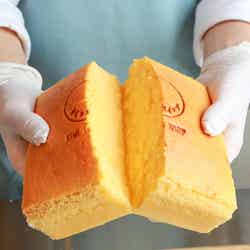 キミとホイップ/画像提供:ヤマナミ麺芸社