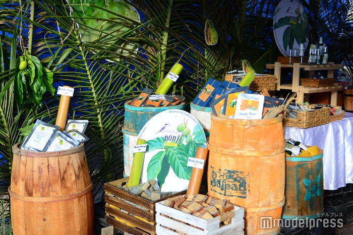 キングフィッシャー・ノニ（C）ビューティーガール