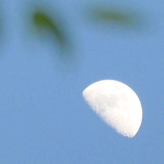 画像11 22 月 のつく熟語まとめ かっこよさも美しさもある日本の言葉 モデルプレス