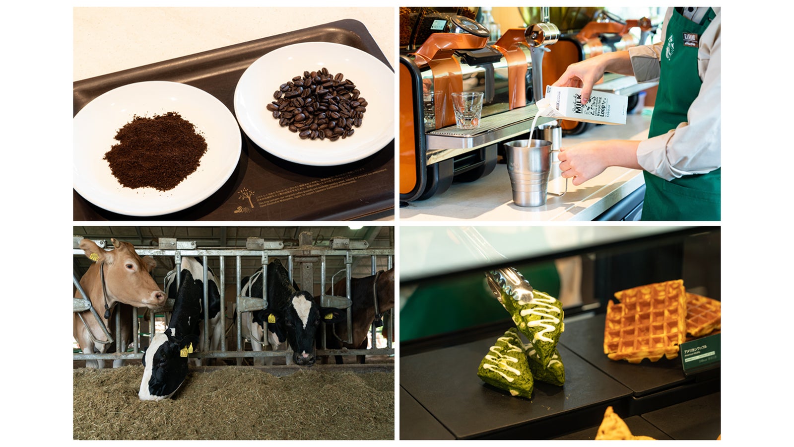 豆かすリサイクル／画像提供：スターバックス コーヒー ジャパン