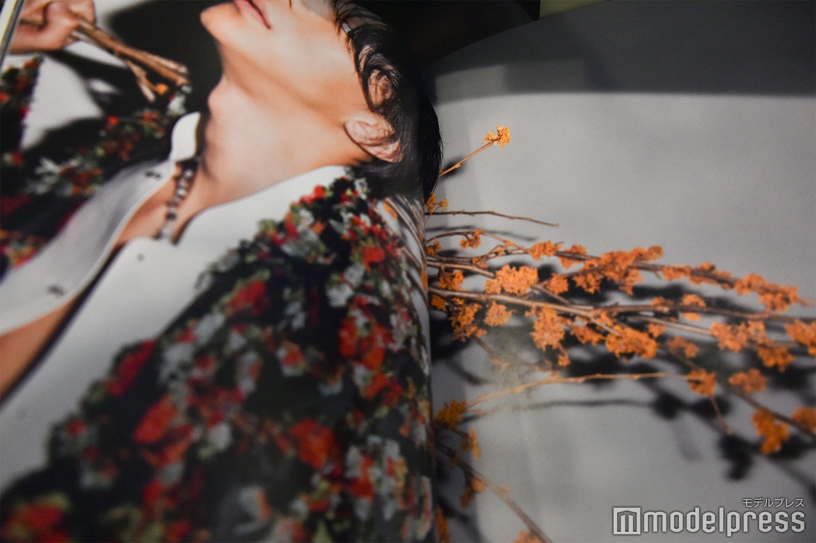 三浦翔平／撮影：Keiichi Nitta（ota office）