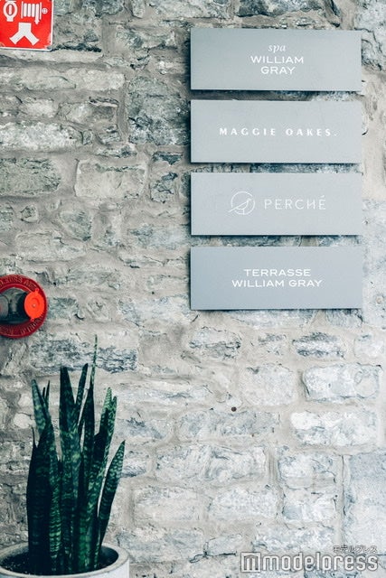 William Gray （C）モデルプレス