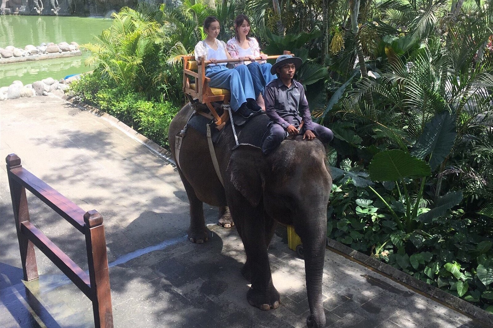 （左から）板野友美、永尾まりや／バリズー（C）TBS