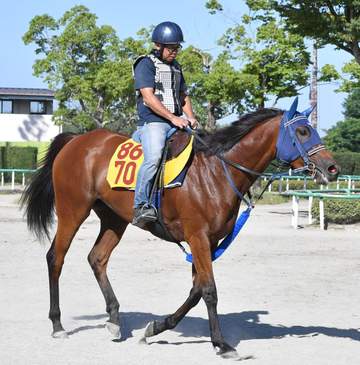 【中京記念】カネラフィーナ 狙う重賞初制覇 未勝利Vから4連勝の素質馬 秋の飛躍へここで決める