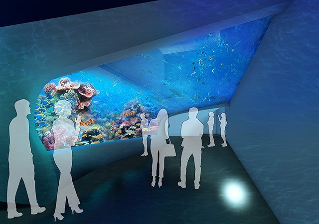 DMMかりゆし水族館／画像提供：DMM.com