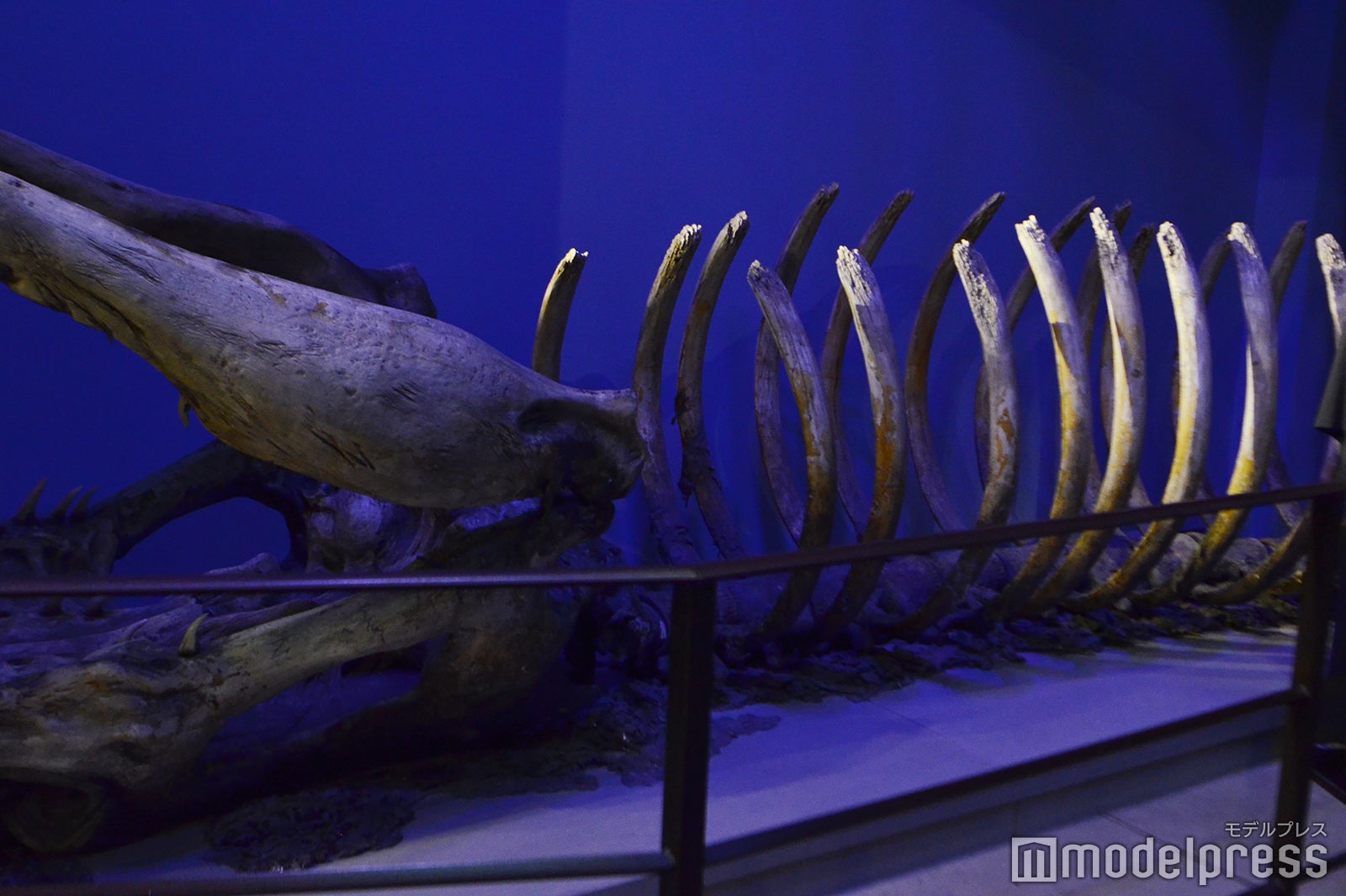 ワーナー ブラザース スタジオツアーロンドン -　メイキング・オブ・ハリー・ポッター（C）モデルプレス Warner Bros. Studio Tour London – The Making of Harry Potter