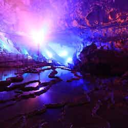 幻想的な空間が広がる秋芳洞/提供画像