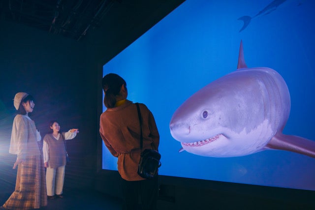 サメVR水槽のあるスペース[シャークダディズルーム] （提供画像）