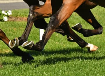 キャリーオーバー発生中のWIN5がバカ売れ！ 大金ゲットを夢見る投票が激増 早くも2週間前の投票数を上回る