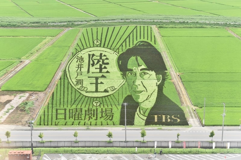 田んぼアート（C）TBS