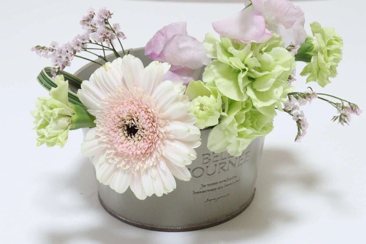 ダイソー フレンチ風アイアンポット(浅型) 使用例 ダイソー フレンチ風アイアンポット(浅型) 使用例