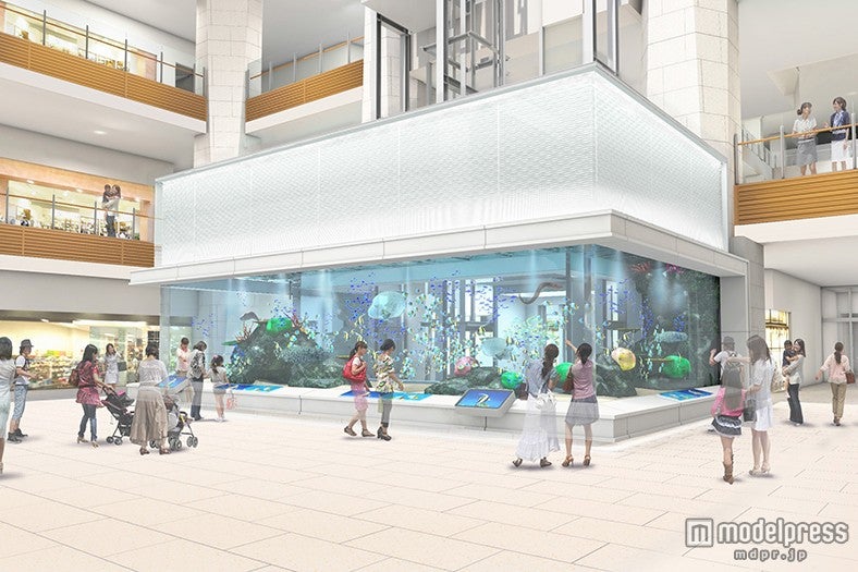 水槽容量100トンを超える観賞用大水槽「ライカムアクアリウム」