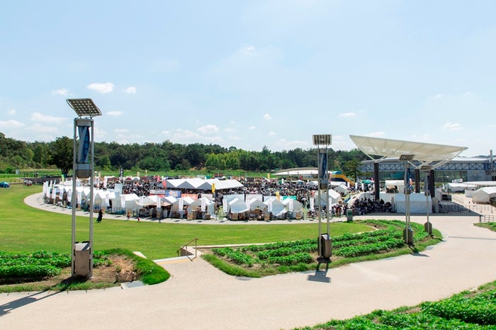 「全日本ぎょうざ祭り」／画像提供：全日本ぎょうざ祭り事務局