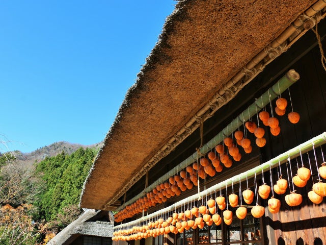 column_ca1f596e12a3d0ba2804b447de6884dc.