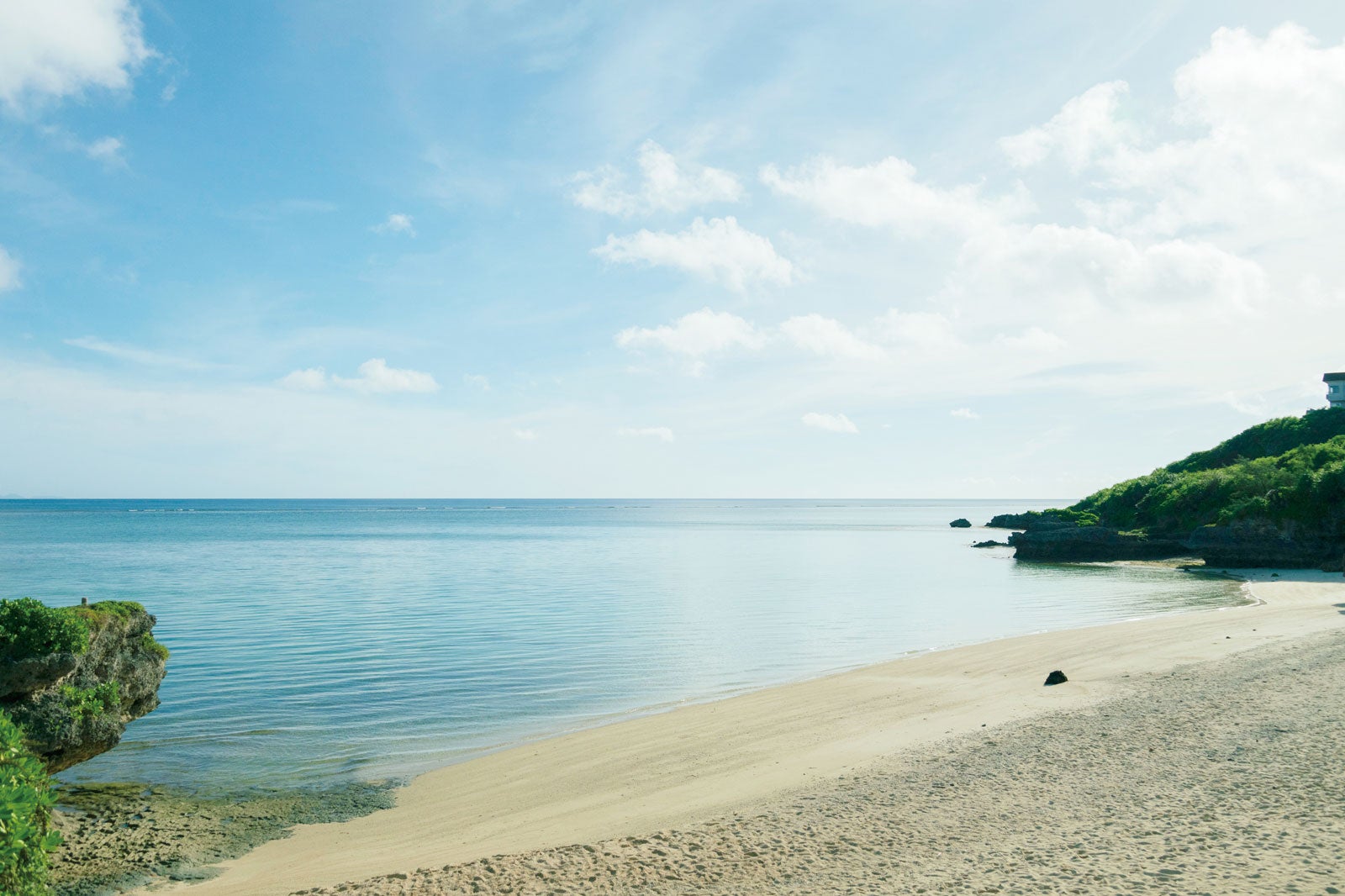 風景写真／場面写真より（C）2025映画「366⽇」製作委員会