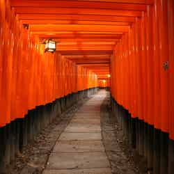 古くから愛され続ける京都の美しい風景／画像提供：東海旅客鉄道株式会社