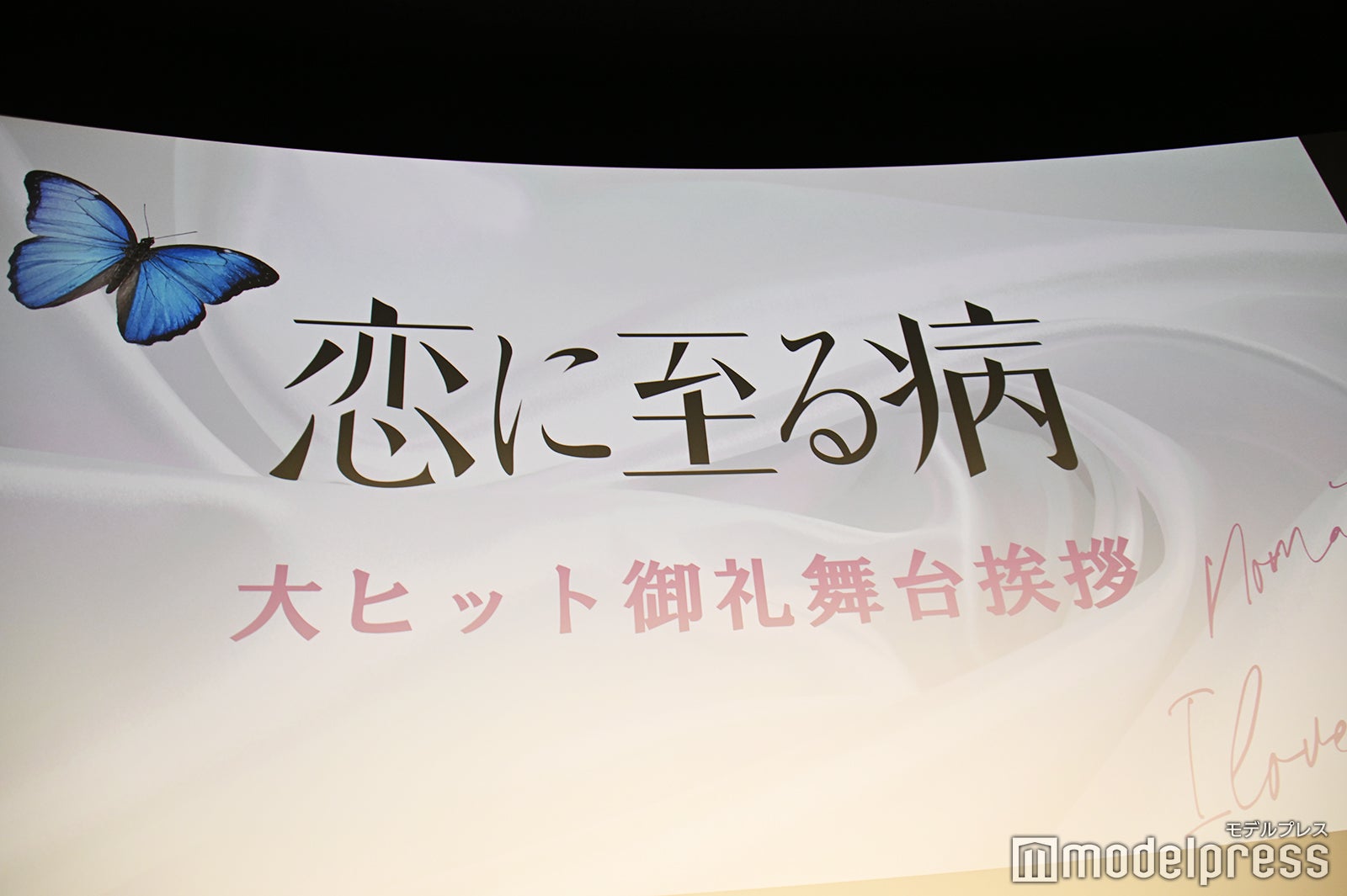 「恋に至る病」大ヒット御礼舞台挨拶（C）モデルプレス