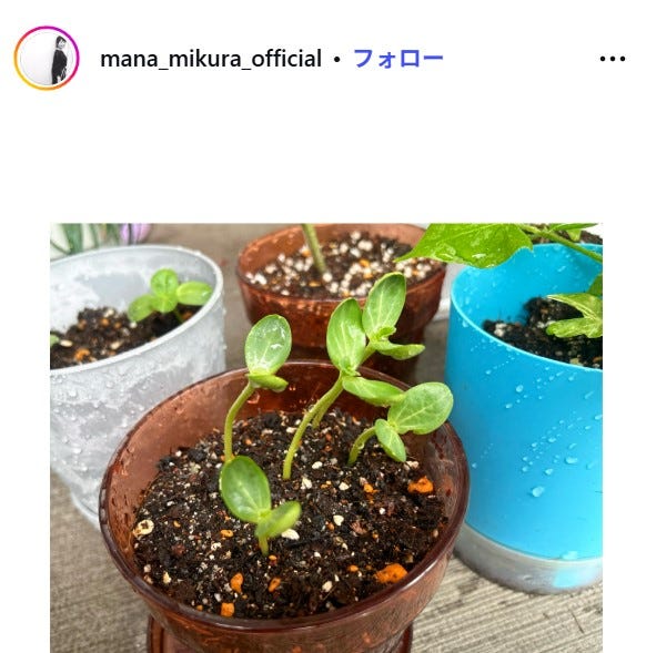 三倉茉奈Instagramより