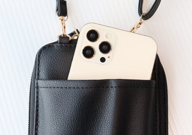 宝島社　雑誌　ムック本　付録　Roberta