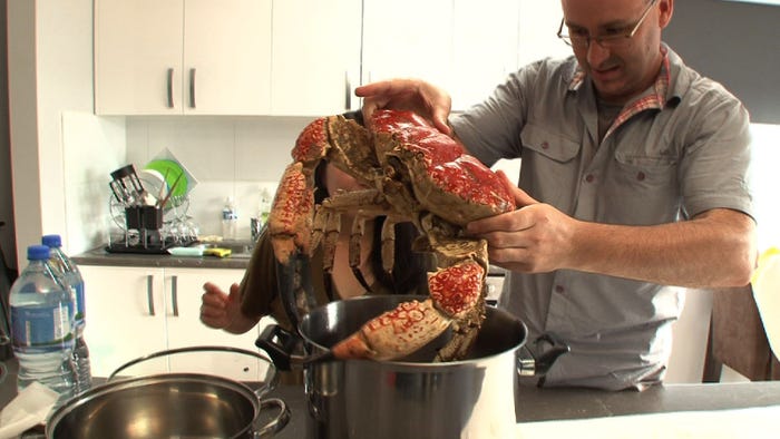 タスマニアの巨大カニ(画像提供:毎日放送)