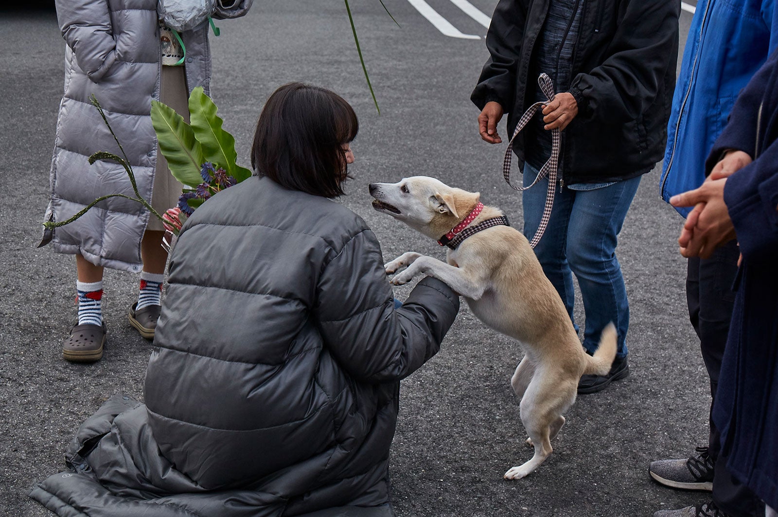 小松菜奈、ちえ（C）西加奈子／小学館 （C）2020「さくら」製作委員会