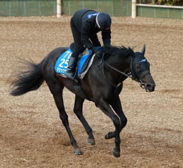 【中山記念】マジックサンズ 無敗千八で華麗一変 のちのG1馬アルマヴェローチェにも勝利の得意舞台