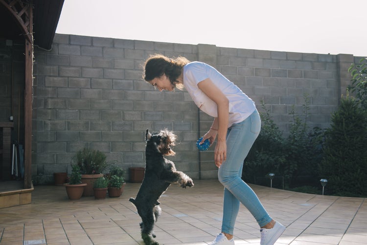 消費エネルギーどれくらい?~家での活動・歩行編~