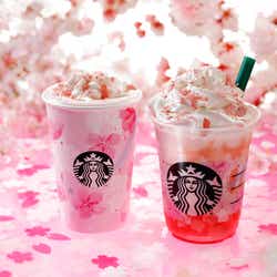 モデルプレス - スタバ、さくら色フラペの春が来た!咲き誇る満開の桜を表現