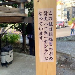 東京・北区の『鬼滅』聖地を訪れて衝撃 日輪刀誕生の瞬間に感動の声相次ぐ