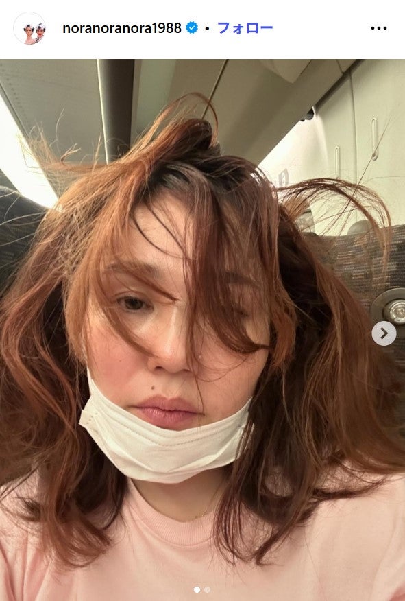 平野ノラInstagramより