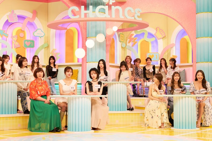 「チャンスのチワワ」(提供写真)