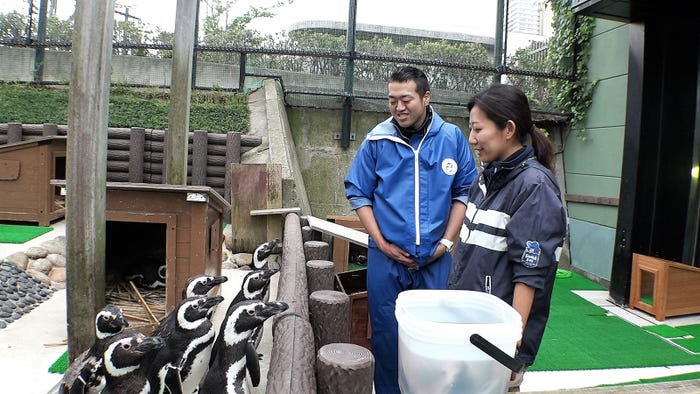 番組の様子(写真提供:関西テレビ)