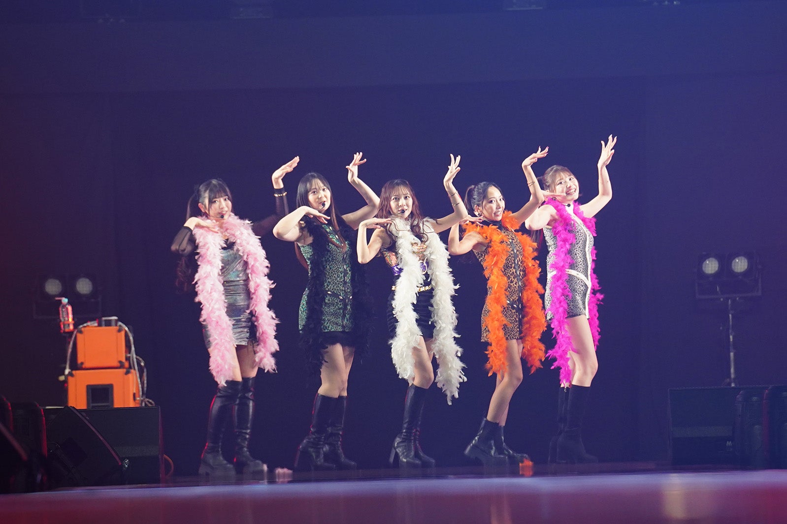 フジコーズ（C）AGESTOCK2026