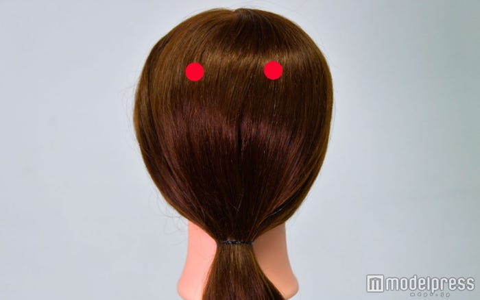 後頭部に握りこぶしを置いた時の親指と小指の部分(C)モデルプレス