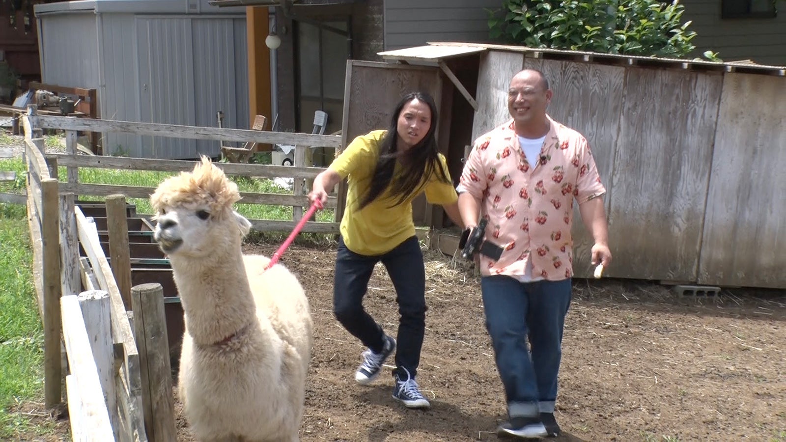 布川ひろき、みちお／トムブラウン（C）日本テレビ